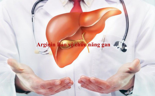 ARGININ giúp thanh nhiệt giải đôc tăng cường chức năng gan trong các trường hợp: viêm gan, men gan cao, gan nhiễm mỡ ...