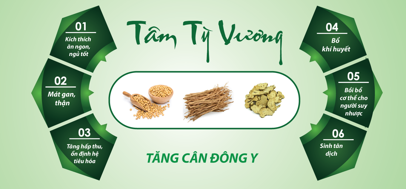 [ Tâm Tỳ Vương ] Tăng cân an toàn từ Thảo dược Quý