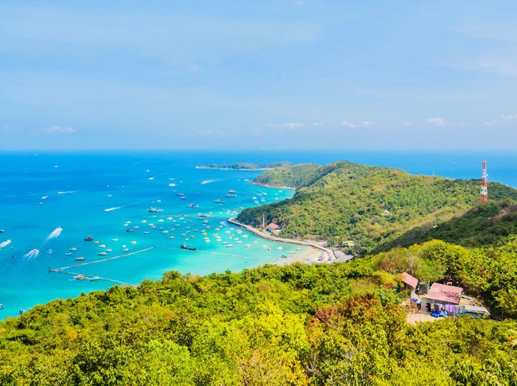 [HOT] Tour Thái Lan 4N3Đ: Bangkok - Pattaya - Coral, Giờ Bay Đẹp, Thứ 7 Hàng Tuần