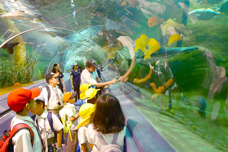 Vé Tham Quan Chiang Mai Zoo Aquarium, Thái Lan