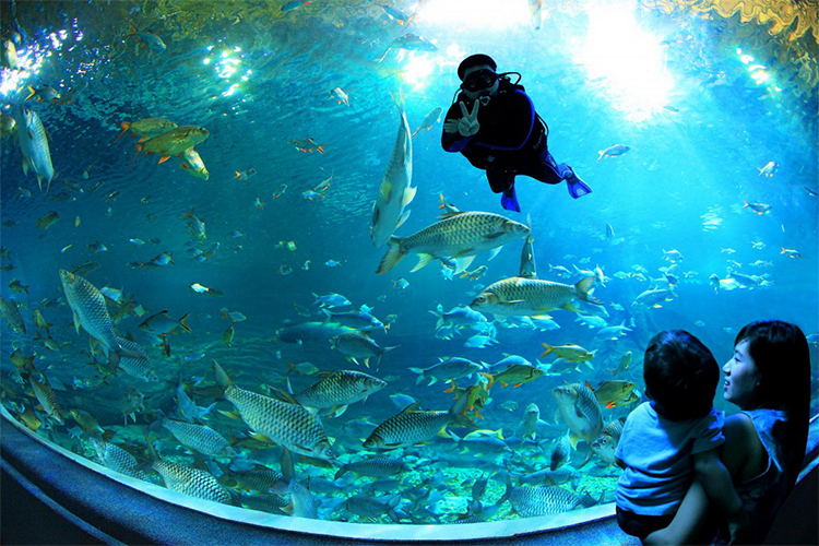 Vé Tham Quan Chiang Mai Zoo Aquarium, Thái Lan