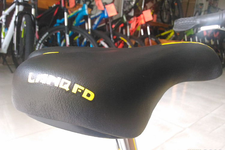 Xe Đạp Trẻ Em LANQ FD1641 2017 (Vàng)