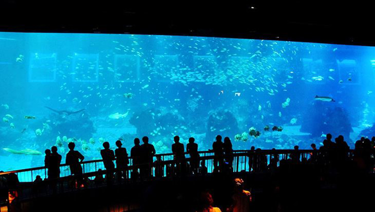 Vé Sea Aquarium SIN00501