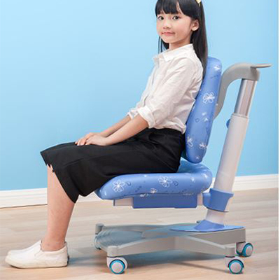 Ghế chống gù Sincaye 205