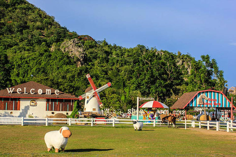 Vé Nông Trại Cừu Swiss Sheep Farm Pattaya
