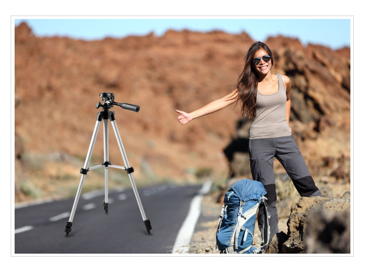 Chân máy ảnh mini Weifeng (WEIFENG) WT-3111 (Tripod)