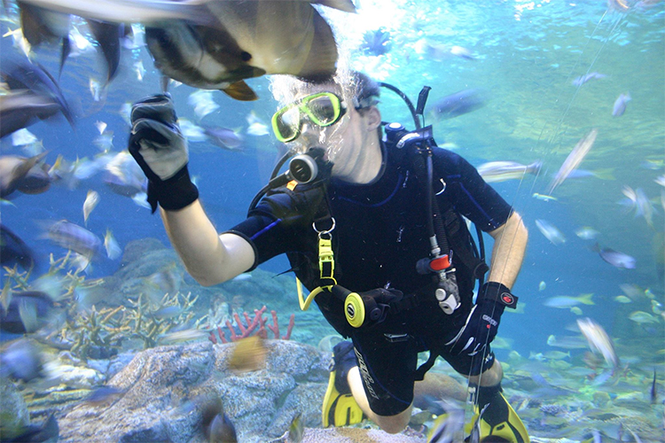 Vé Thủy Cung Underwater World Ở Pattaya, Thái Lan