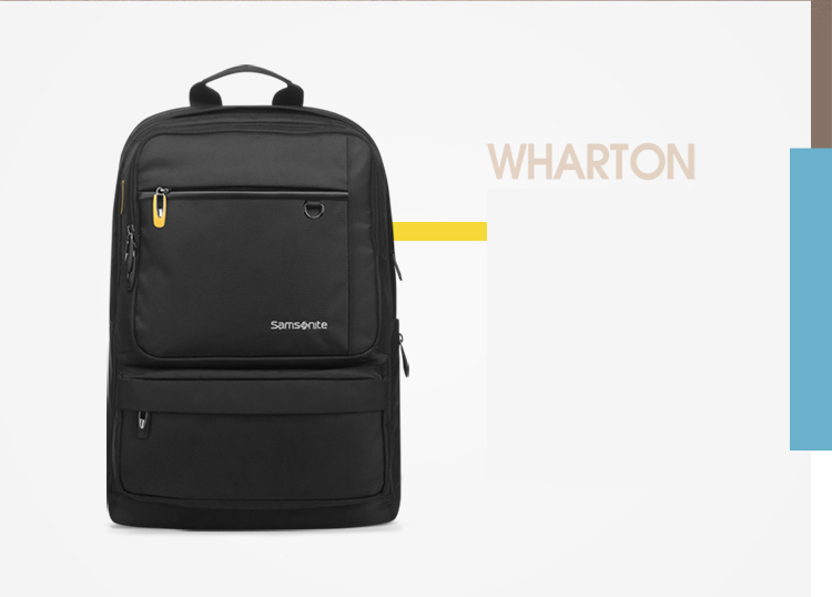 Balo Laptop Samsonite 14" 36B * 41003 - Navy