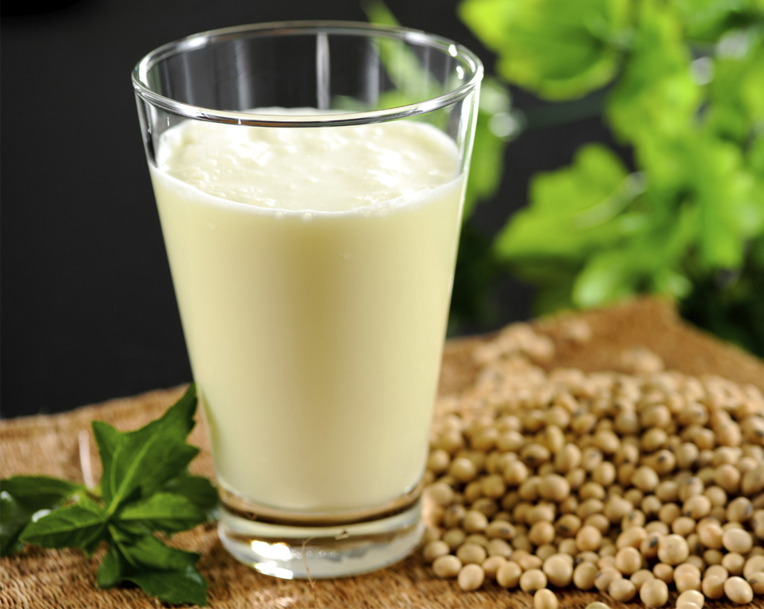Máy Xay Ép Đa Năng Osaka 5 Trong 1 BL739 (1.5 lít)