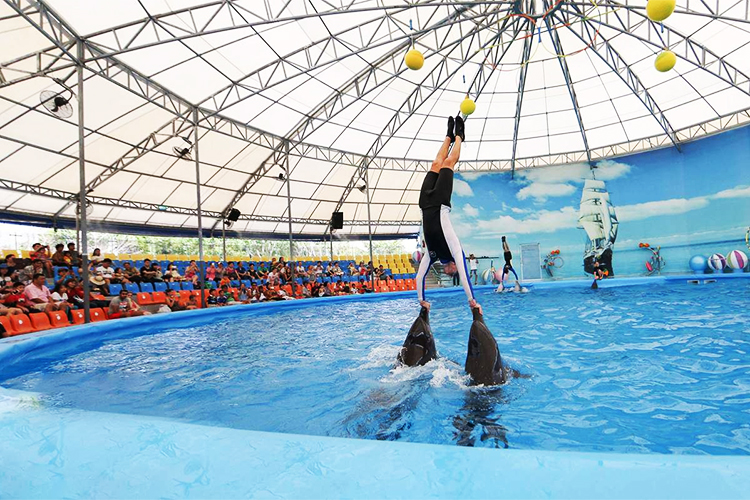 Vé Dolphins Bay Nemo Phuket, Thái Lan - Ghế Thường