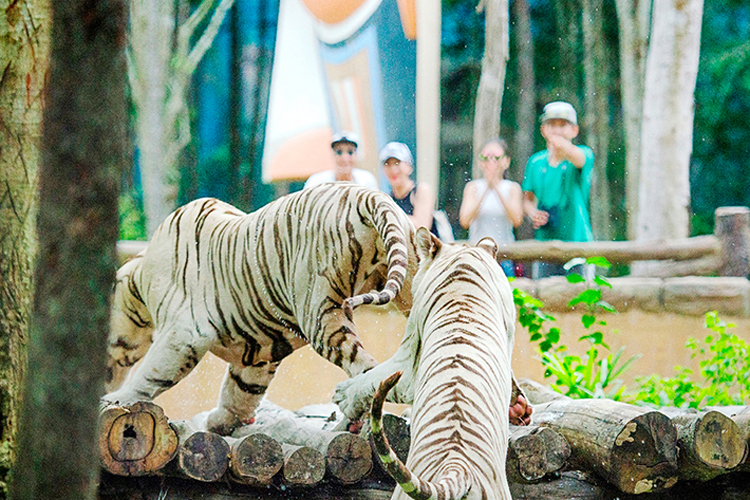 Vinpearl Phú Quốc 5* - Villa 02 Phòng Ngủ + Ăn 03 Bữa + Vinpearl Land & Safari