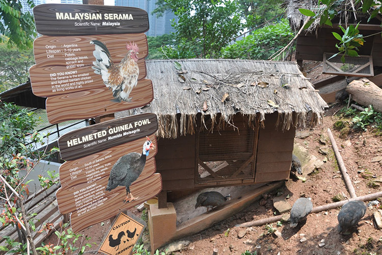 Vé Sở Thú KL Tower Mini Zoo, Kuala Lumpur