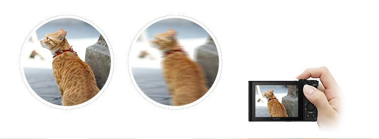 Máy Ảnh Kỹ Thuật Số SONY DSC-WX350 (Độ Phân Giải 18.2 Triệu Pixels Với Độ Zoom Quang Học 20x Và Hỗ Trợ Wi-Fi) Đen