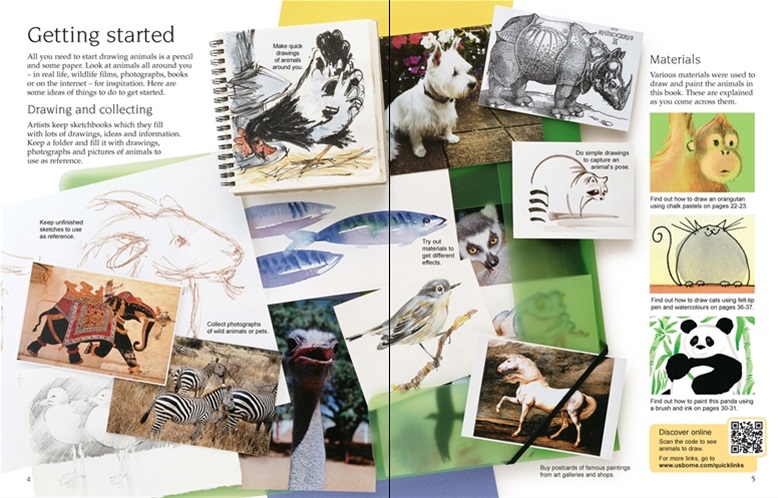 Usborne art ideas: drawing animals