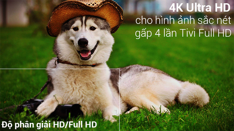 Smart Tivi LG 49 inch 4K UHD 49SK8500PTA