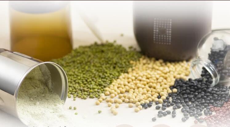 Bear FSJ-A03D1 Grinder for Seed Bean Nut Herb Pepper & Grain