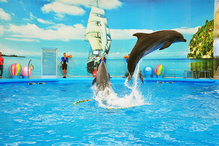 Vé Dolphins Bay Nemo Phuket, Thái Lan - Ghế Thường