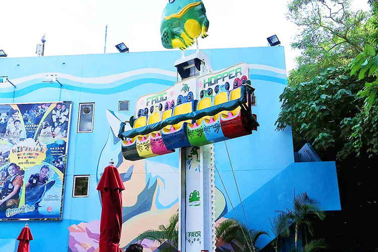 Vé Tham Quan Công Viên Ocean Park, Hong Kong