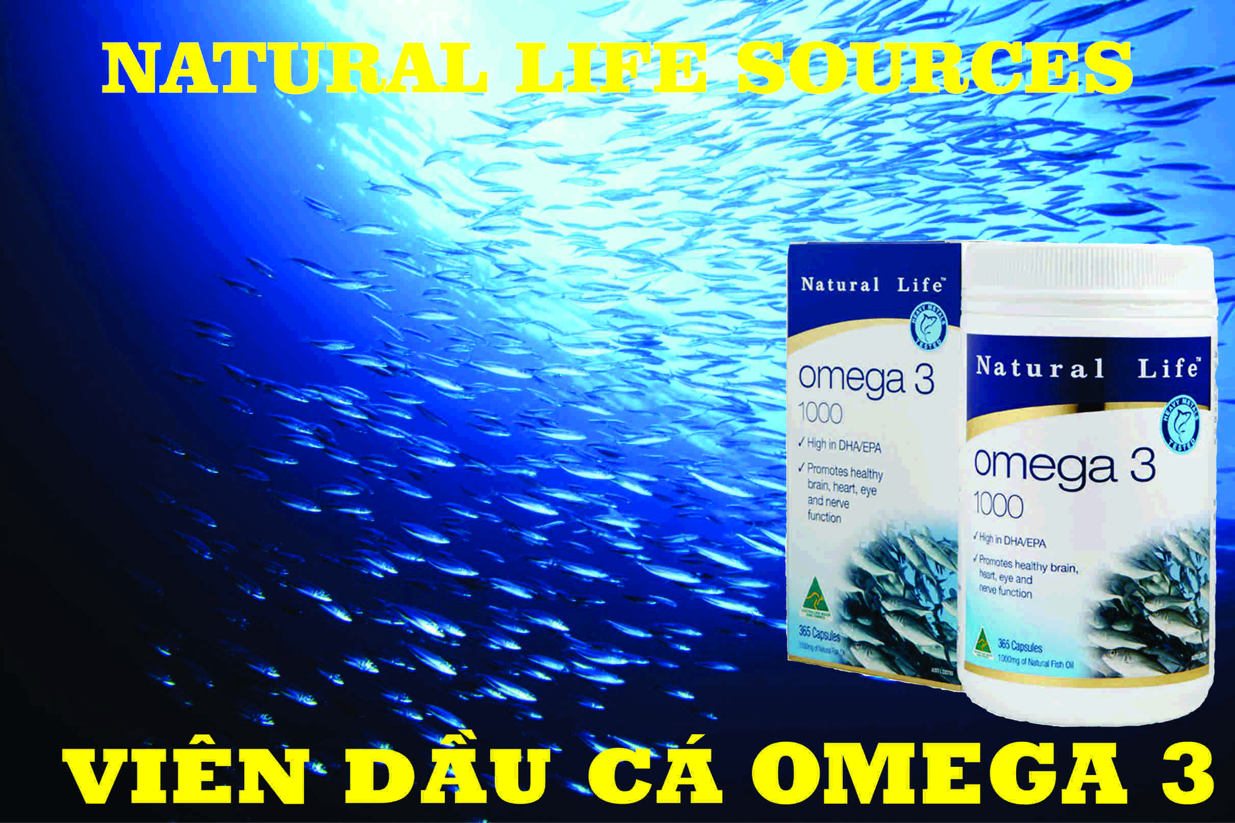 Viên Nang Dầu Cá Omega 3 1000mg - Natural Life