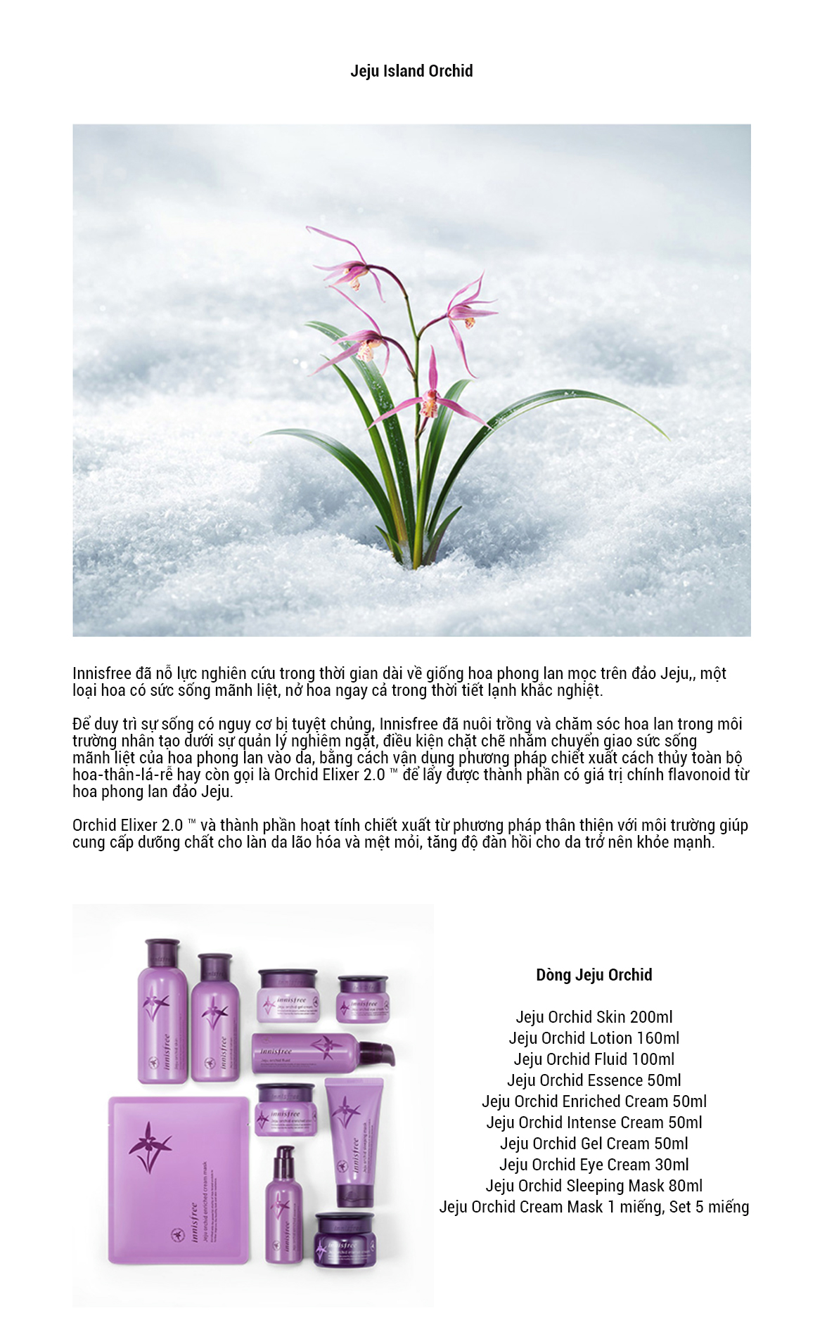 Tinh Chất Dưỡng Ngăn Ngừa Lão Hóa Sớm Từ Hoa Lan Innisfree Jeju Orchid Enriched Essence (50ml)