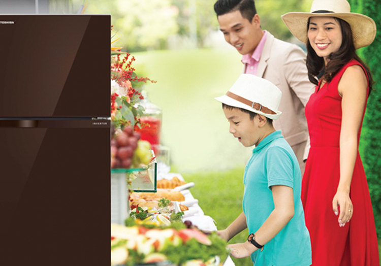 Tủ Lạnh Inverter Toshiba GR-AG36VUBZ-XB (305L)