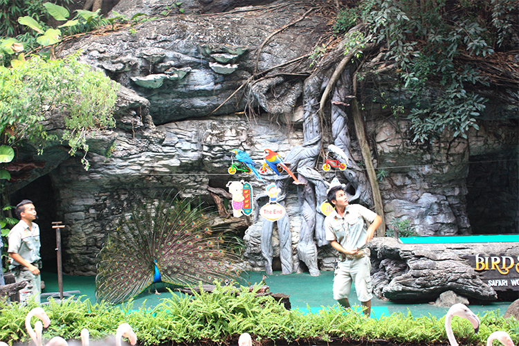 Vé Safari World Bangkok, Thái Lan - Package C: Safari Park + Marine Park + Show Thú