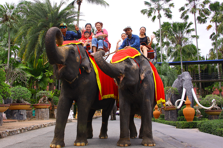 Vé Vào Cổng + Show Văn Hóa Thái + Show Biểu Diễn Voi Tại Vườn Nhiệt Đới Nong Nooch Ở Pattaya, Thái Lan