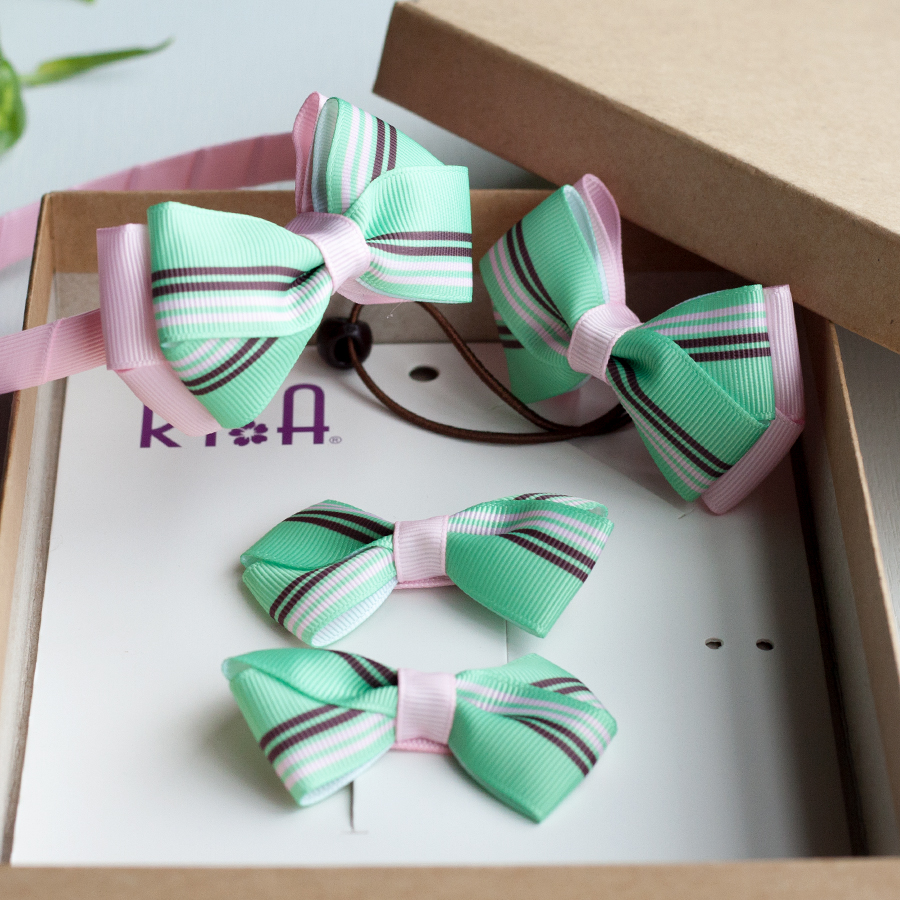 Hộp cài kẹp tóc RY-A 35097-1 (Hồng - xanh, kẻ sọc)