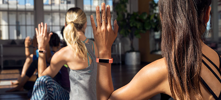 Vòng Theo Dõi Sức Khỏe Fitbit Alta HR - Hàng Chính Hãng