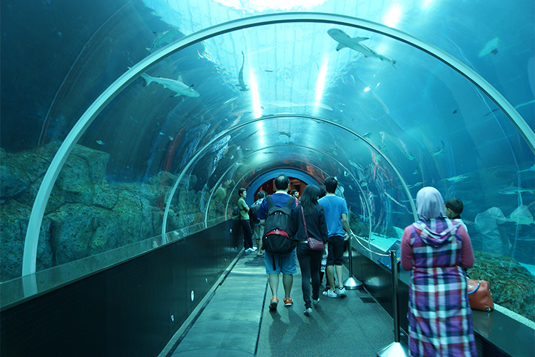 Vé Thủy Cung Underwater World Ở Pattaya, Thái Lan