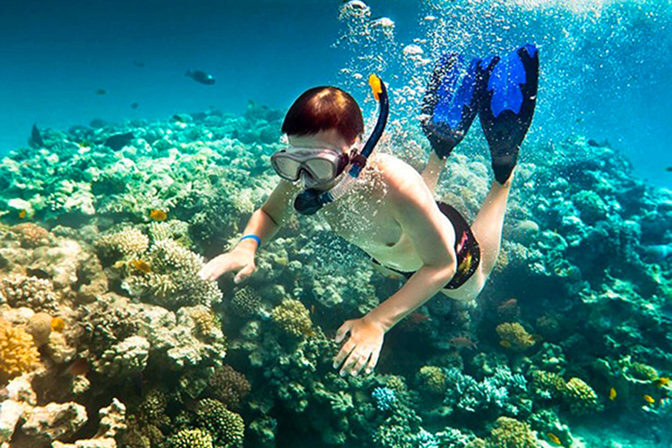 Tour Hè Phú Quốc - Nam Đảo: Câu Cá, Lặn Ngắm San Hô 01 Ngày, KH Hàng Ngày