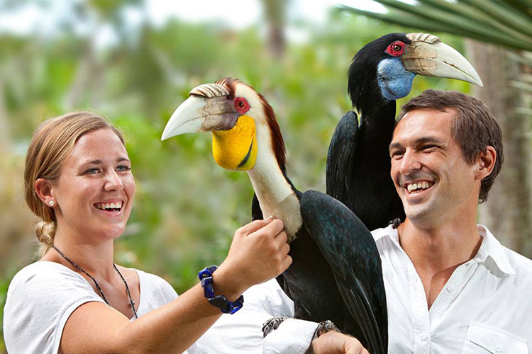 Vé Tham Quan Bali Bird Park, Indonesia