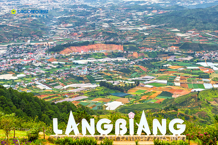 Tour Khám Phá Đà Lạt 3N2Đ, KS 1 Sao, Đón Hàng Ngày Tại Đà Lạt
