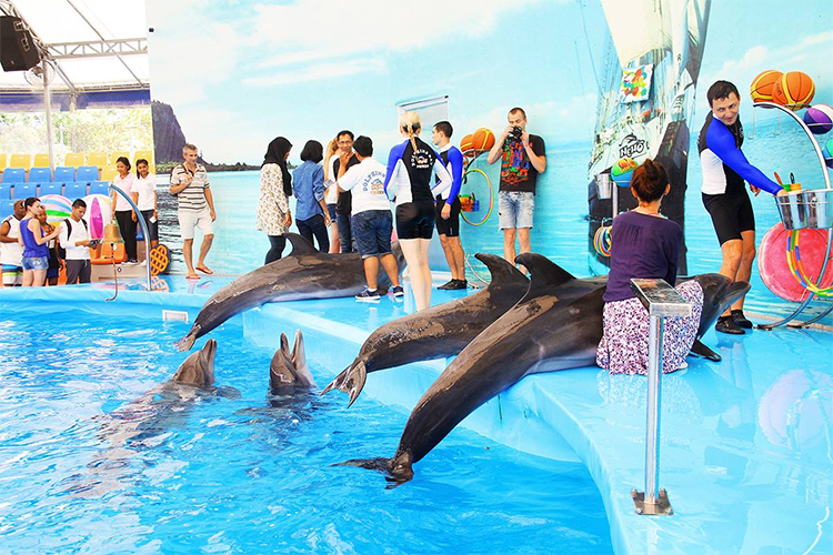 Vé Dolphins Bay Nemo Phuket, Thái Lan - Ghế Thường