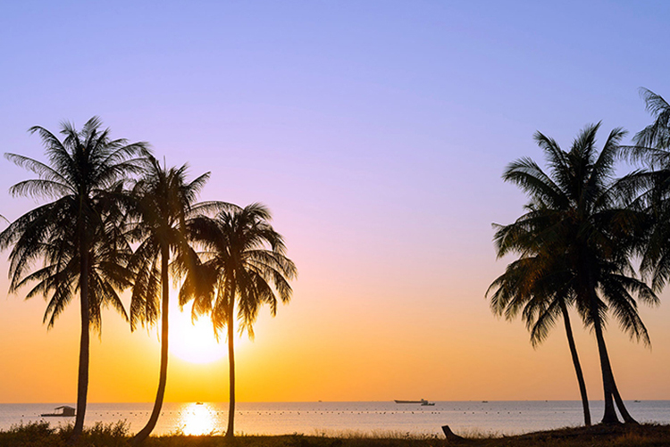 Tour Câu Mực Đêm Phú Quốc, Ăn Tối, Đón/Tiễn, Không Phụ Thu Lễ/Tết