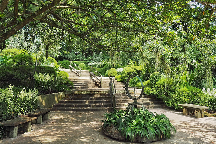 Vé Tham Quan Vườn Lan National Orchid Garden Ở Singapore