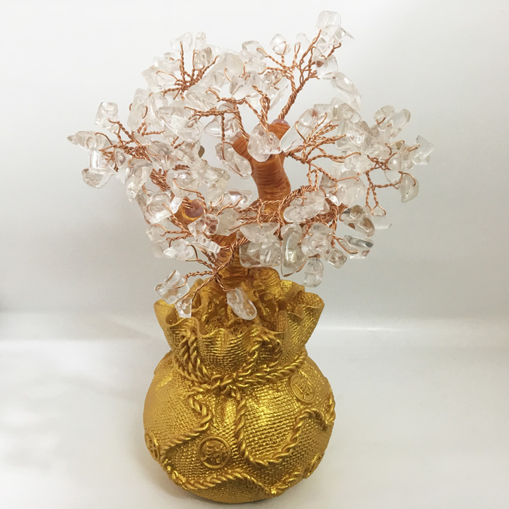 Cây phát tài cho người mệnh Kim