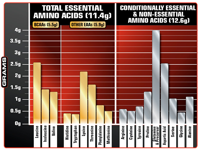 Combo Sữa tăng cơ giảm mỡ Nitro Tech 100% Whey Gold của Muscle tech hương socola hộp 76 lần dùng & Bình lắc 600 ml & Áo Gym size M