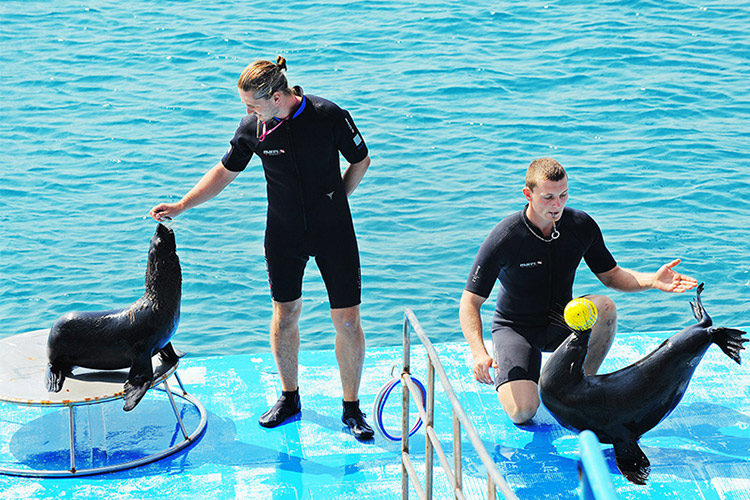 Vinpearl Discovery Nha Trang Empire Condotel - Studio Suite + Vinpearl Land