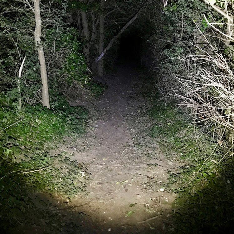 Đèn Pin Cầm Tay LED Lenser MT6 (141mm)