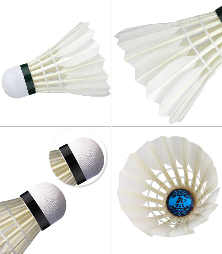 Hộp Cầu Lông AMUSI ( 3 quả )