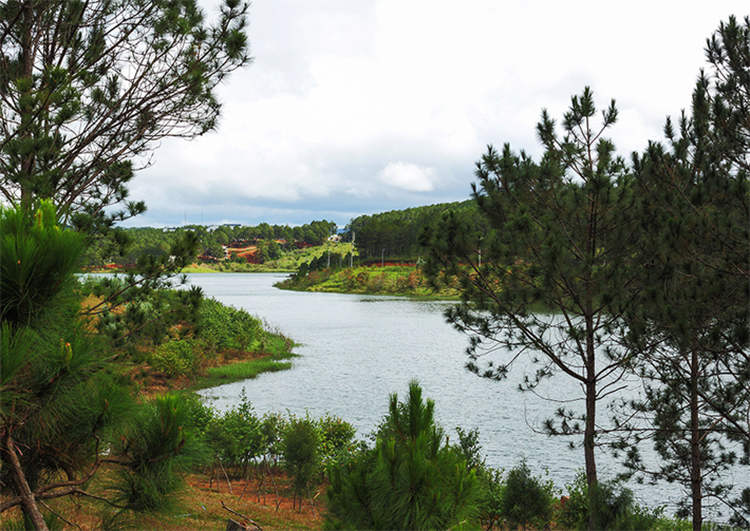 SAM Tuyền Lâm Resort Đà Lạt 4* - Phòng Gia Đình 04 Người, Buffet Sáng, Xe Đưa Đón