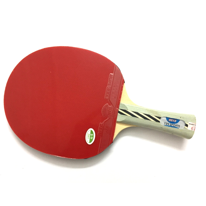 Vợt đánh bóng bàn 729-2010