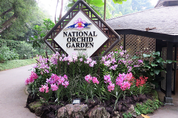 Vé Tham Quan Vườn Lan National Orchid Garden Ở Singapore