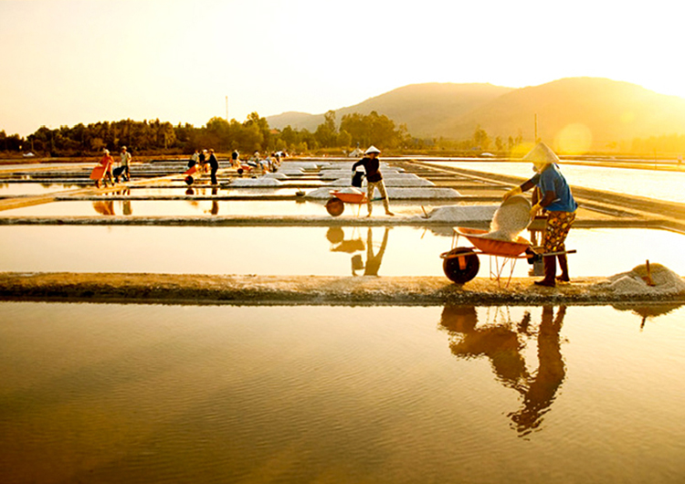 Tour Đảo Điệp Sơn - Dốc Lết 1 Ngày, Khởi Hành Hàng Ngày, Đón Tại Nha Trang