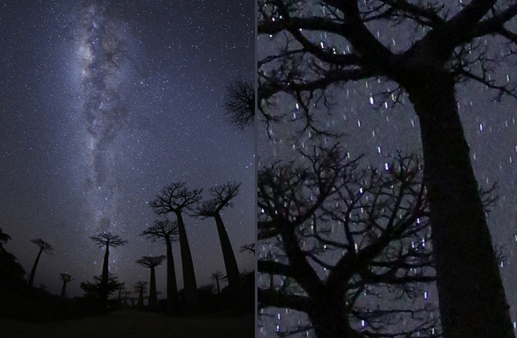 Máy Ảnh Canon 6D Kit 24-105mm F4L IS (Hàng Nhập Khẩu)- Tặng Thẻ 16G + Tấm Dán LCD