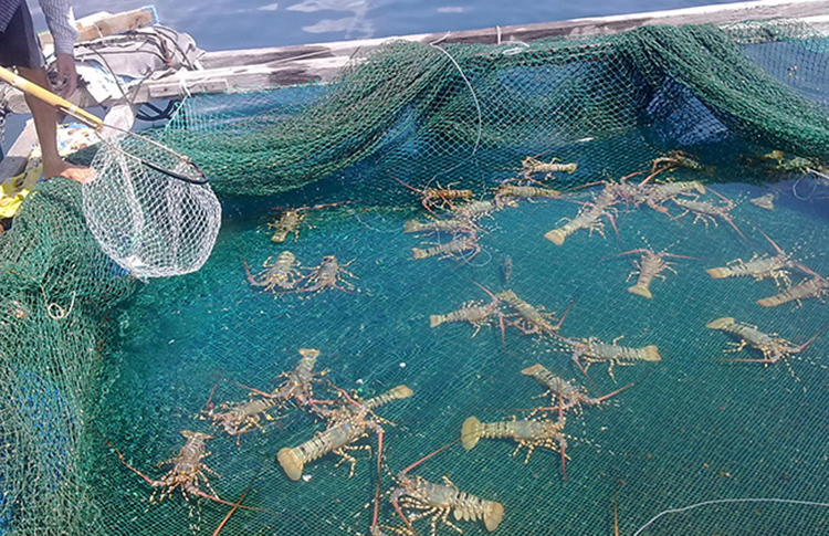 [Tour Xe Lửa] Bình Ba - Nha Trang 3N4Đ, Khởi Hành Hàng Tuần Và Lễ
