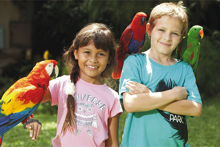 Vé Tham Quan Bali Bird Park, Indonesia