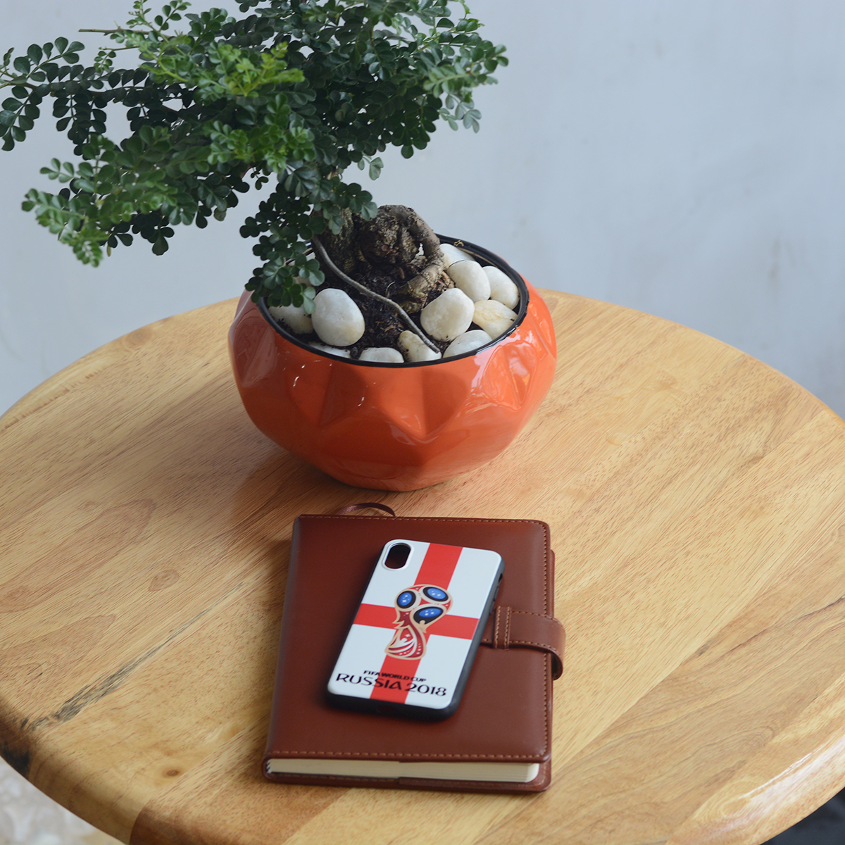 Ốp lưng iPhone X Fashion Case World Cup 2018