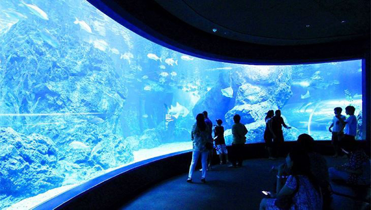 Vé Sea Life Bangkok Ocean World (Thủy Cung + Xem Show) BKK01301